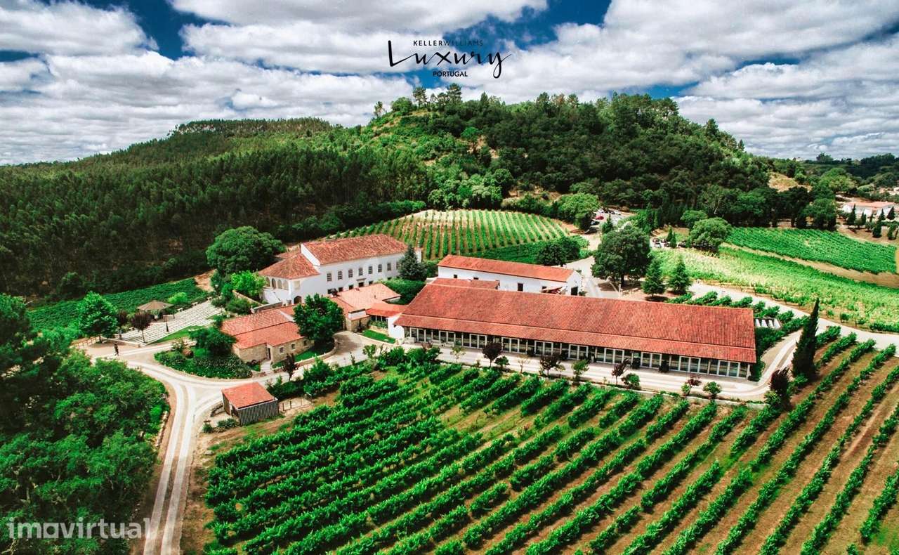 Quinta de Exceção em Ourém – 69 Hectares | Casa Senhorial do Séc. XVII - Grande imagem: 2/60