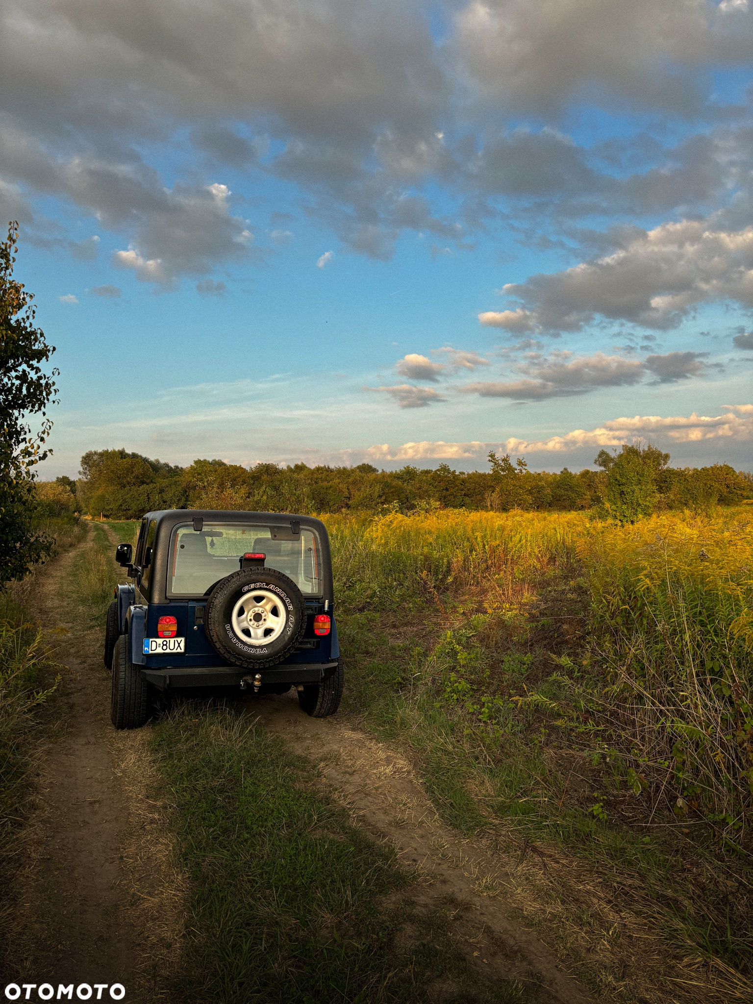 Jeep Wrangler 3.8 Sahara - 15
