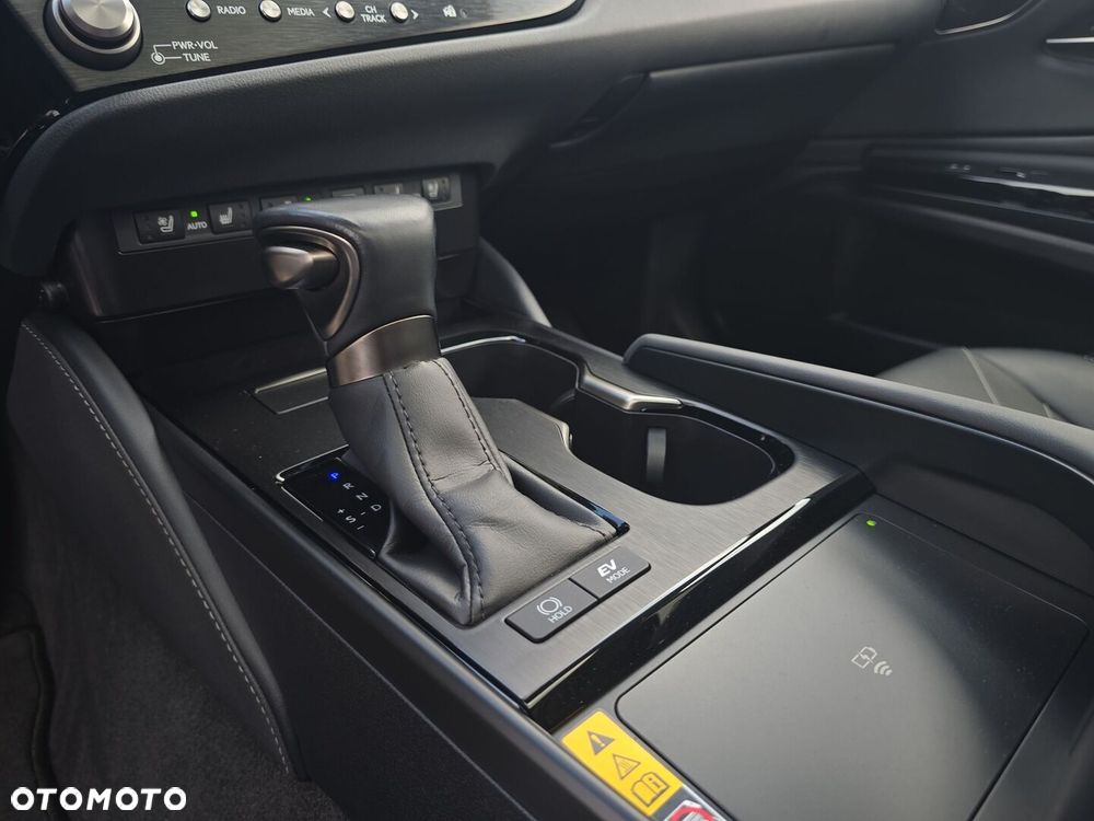 Lexus ES 300h Omotenashi - 17