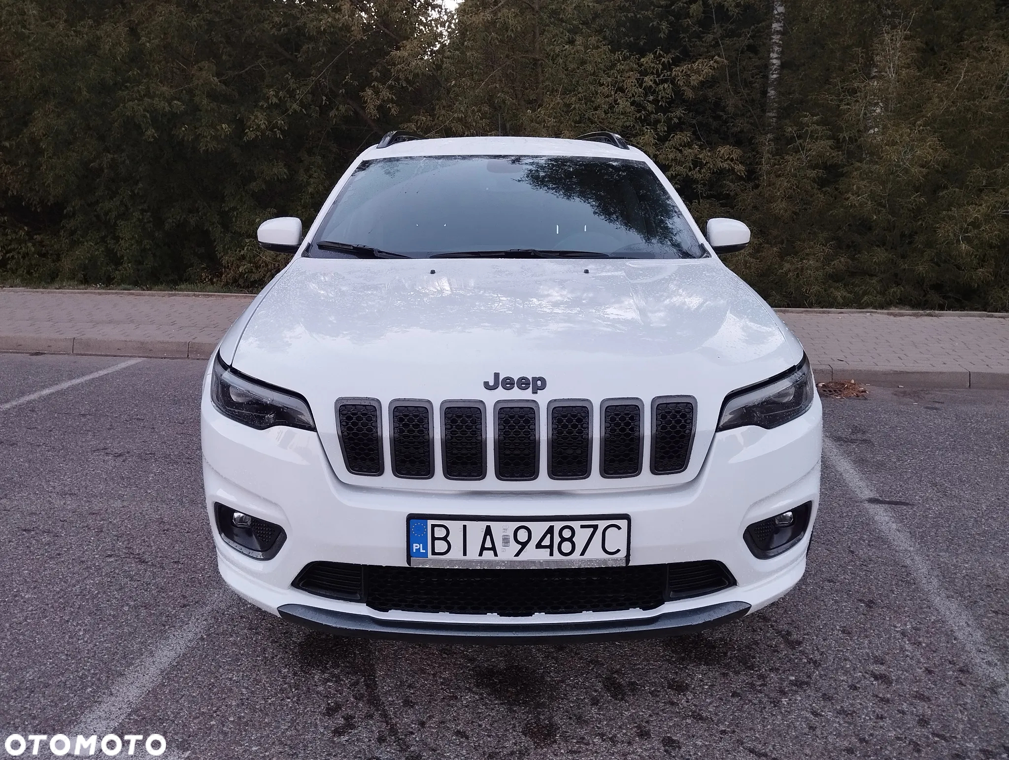 Jeep Cherokee 2.0 GME Active Drive I Limited - 2