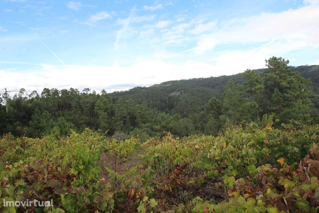 Terreno para Construção, Almalaguês, Coimbra - Grande imagem: 3/4