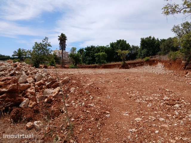 Terreno em Ferreiras - Grande imagem: 2/5