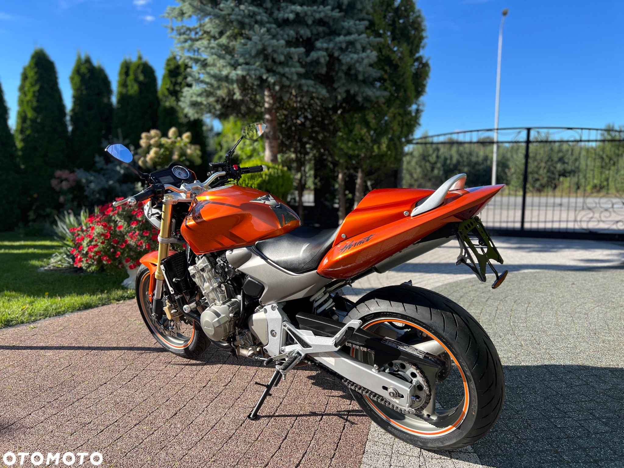 Honda Hornet - 19