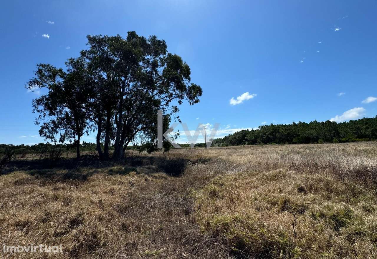 Herdade T4 com 15 Hectares em Odeceixe - Grande imagem: 5/7