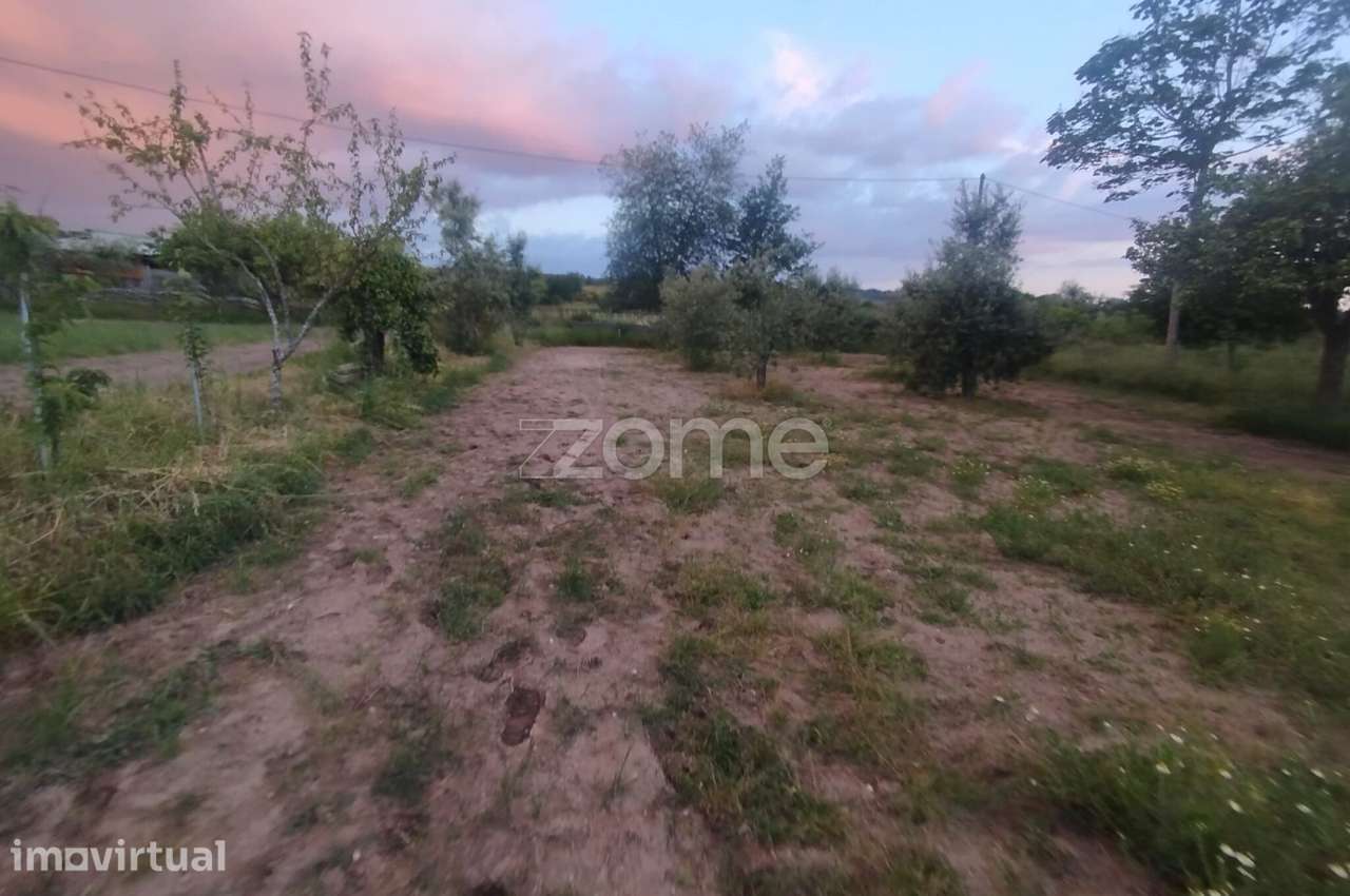 Terreno a 5 minutos do centro de Mangualde o seu Sonho - Grande imagem: 4/18