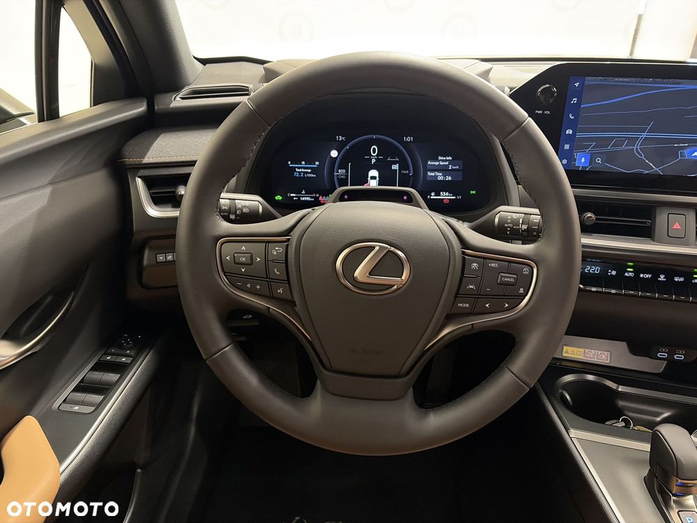 Lexus UX 300h Prestige - 12