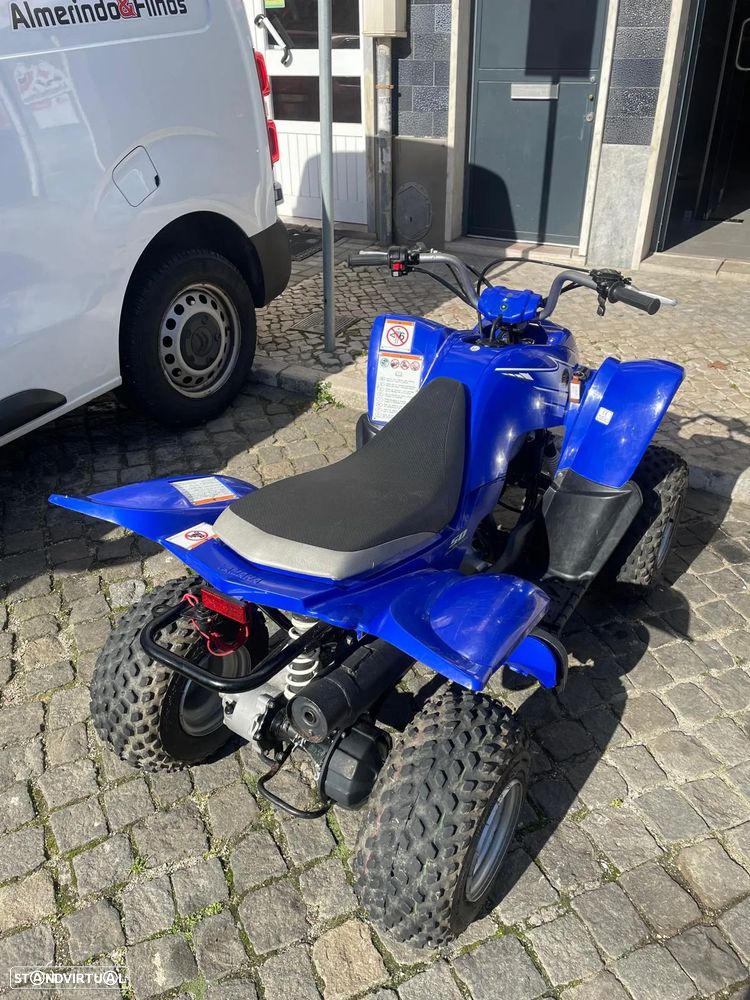 Yamaha YZF - 3