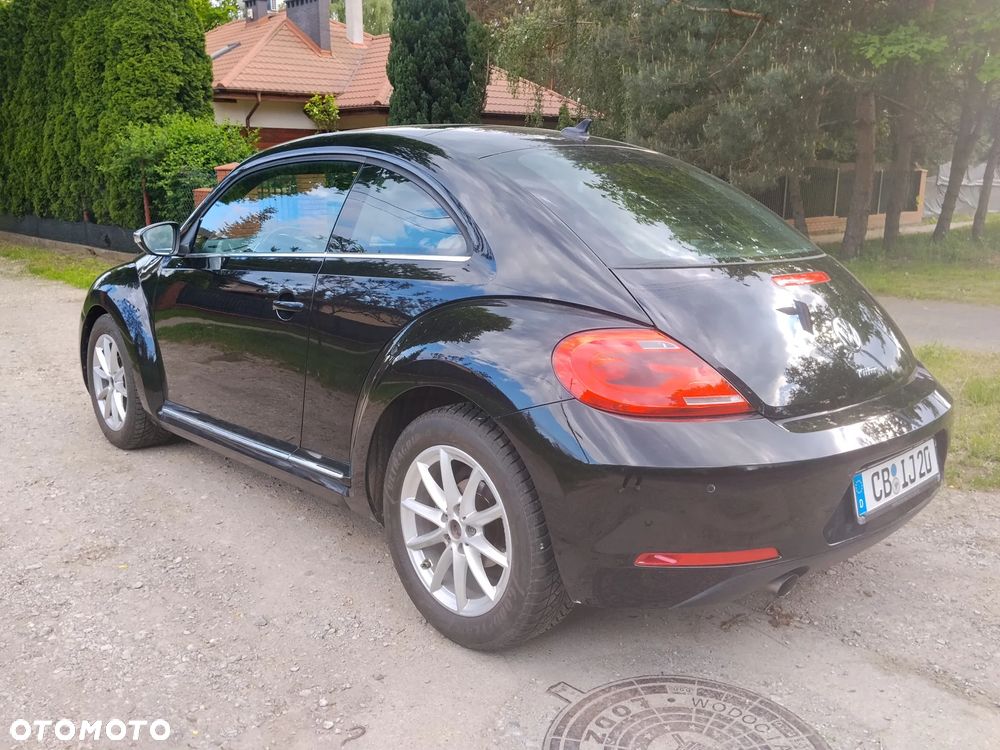 Volkswagen Beetle - 5