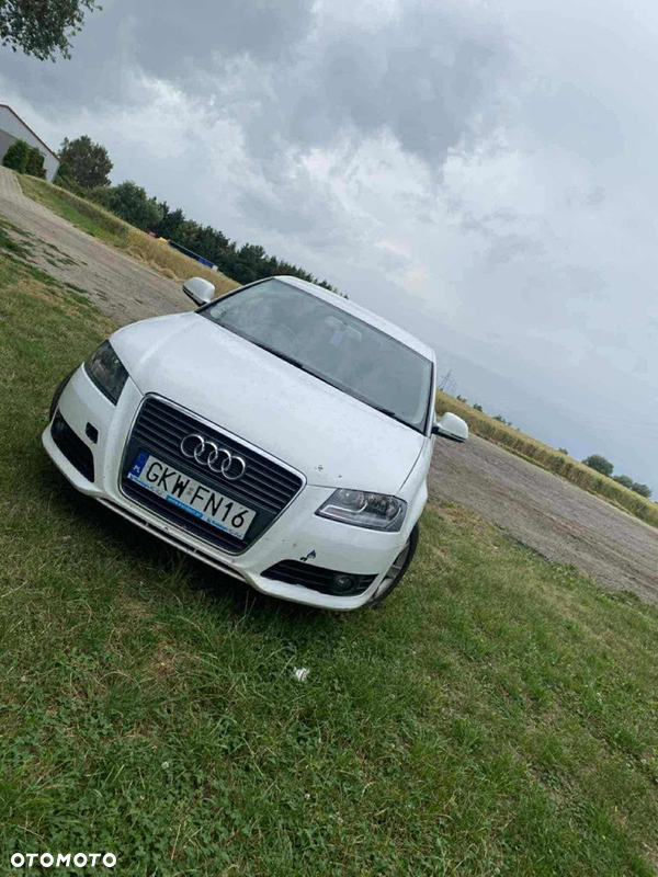 Grill atrapa audi a3 8p lift