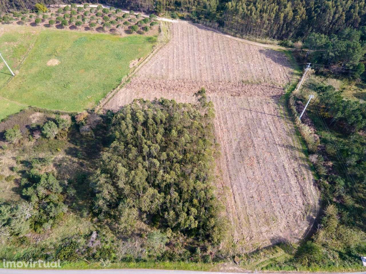 Terreno Rústico em Localização Privilegiada na Foz do Arelho - Grande imagem: 5/15