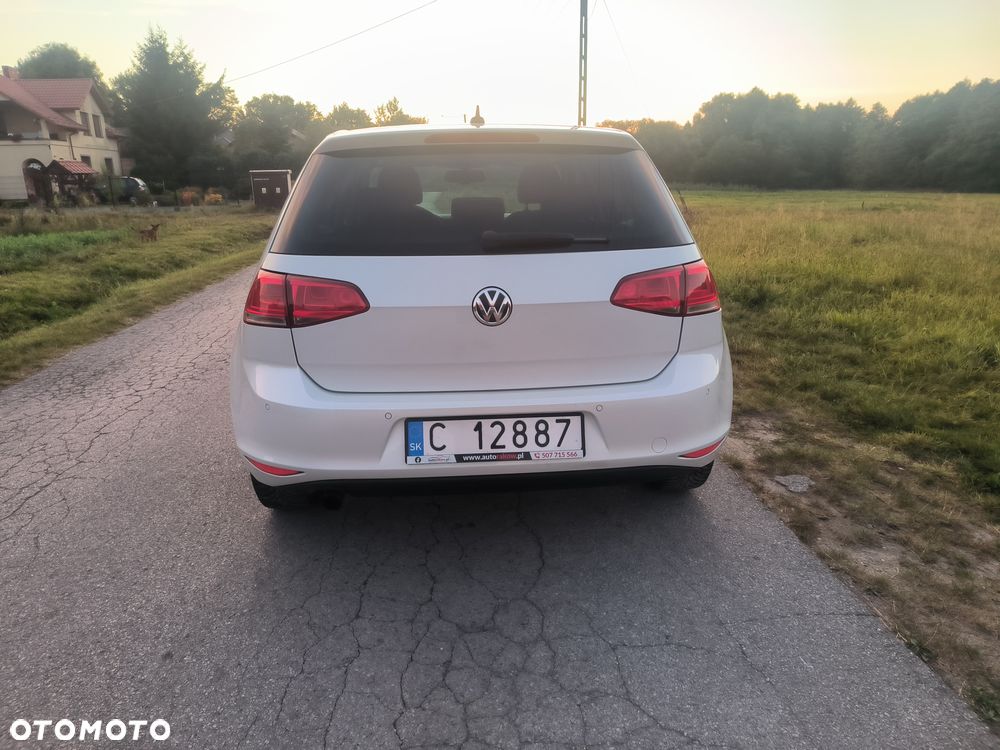 Volkswagen Golf 1.6 TDI BlueMotion Technology DSG Allstar - 6