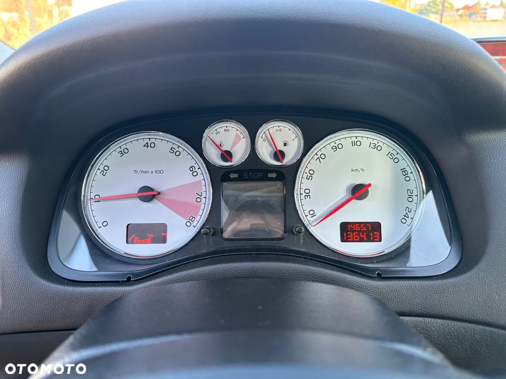 Peugeot 307 110 OXYGO - 28