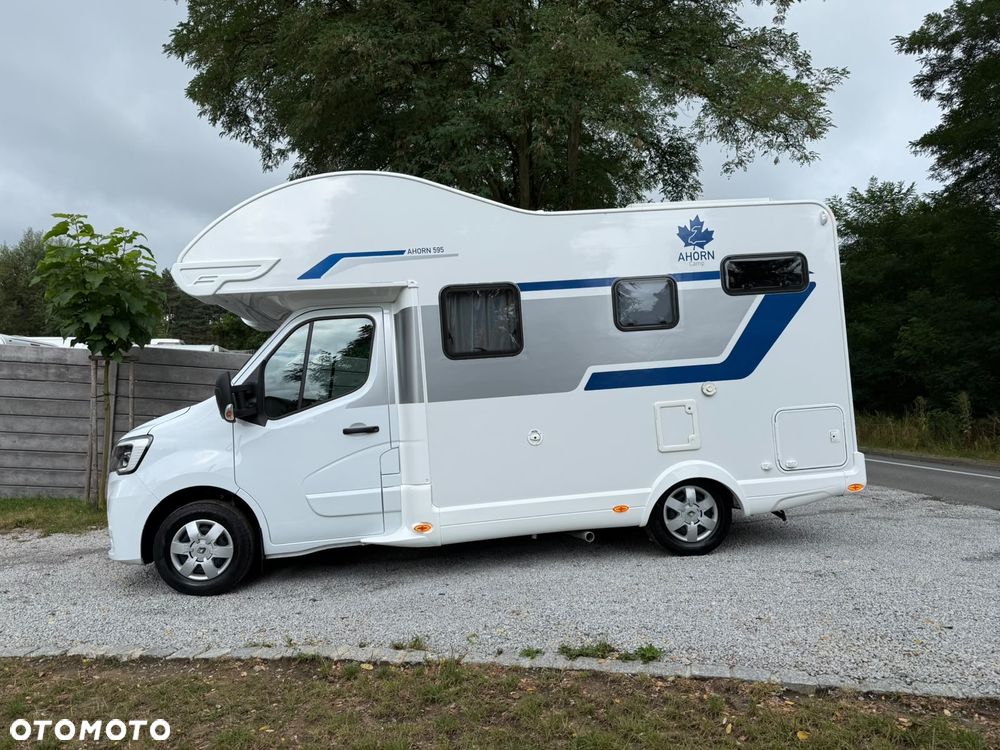 Renault Ahorn Camo 595 2024r - 2