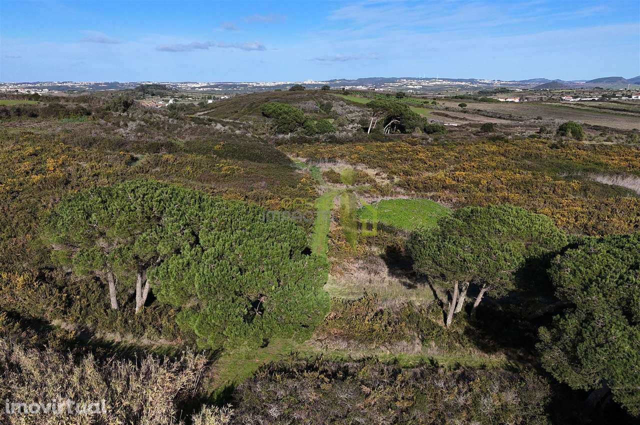 Terreno Rústico com 19.160m2 a venda na Terrugem - Grande imagem: 3/5