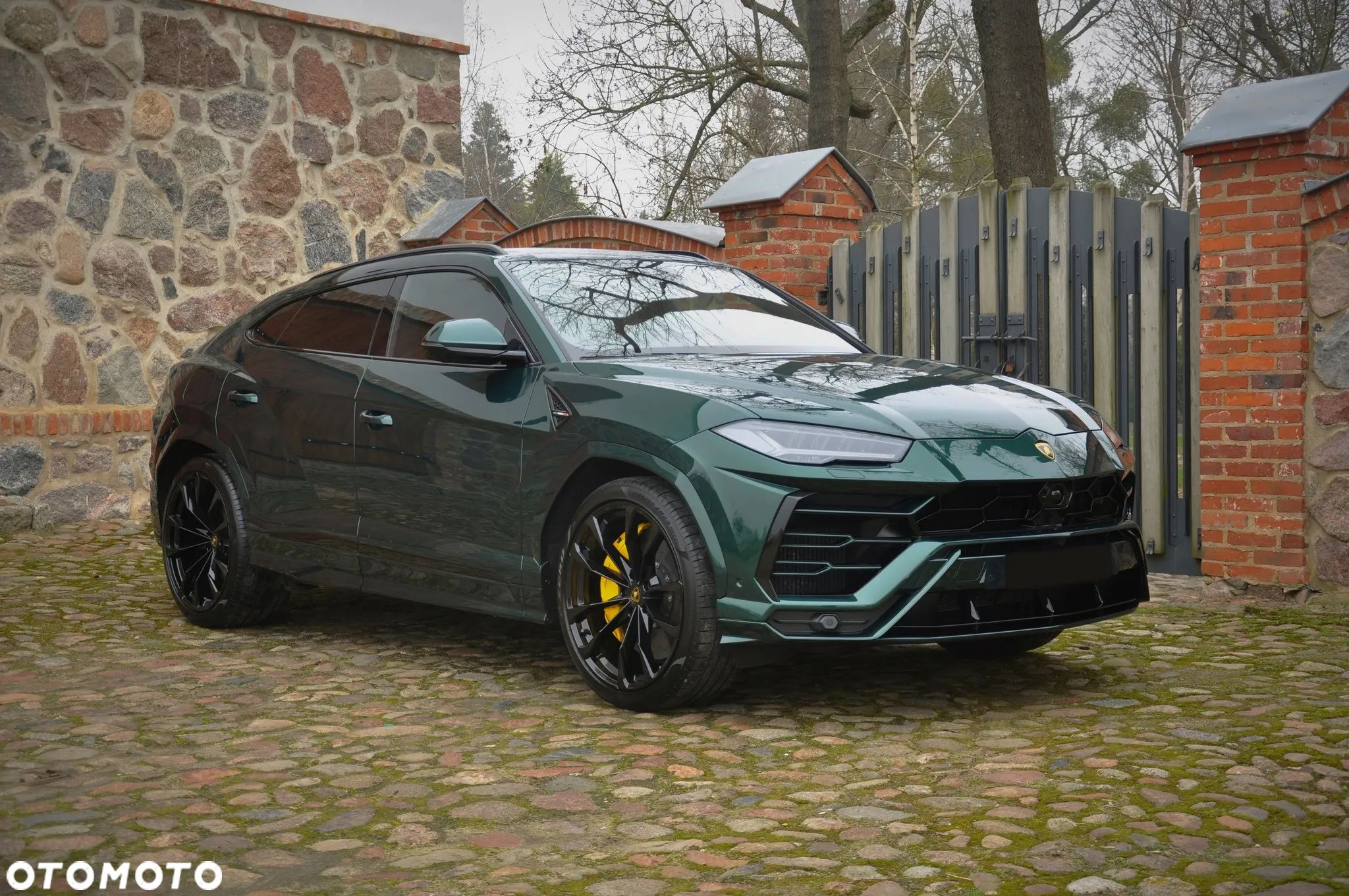 Lamborghini Urus Standard