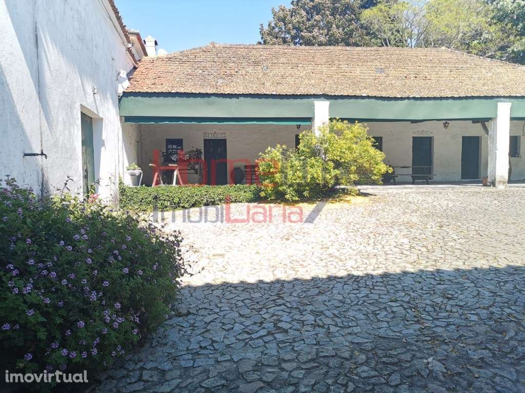 Quinta Vinícola Exclusiva no Vale do Douro - Grande imagem: 2/29