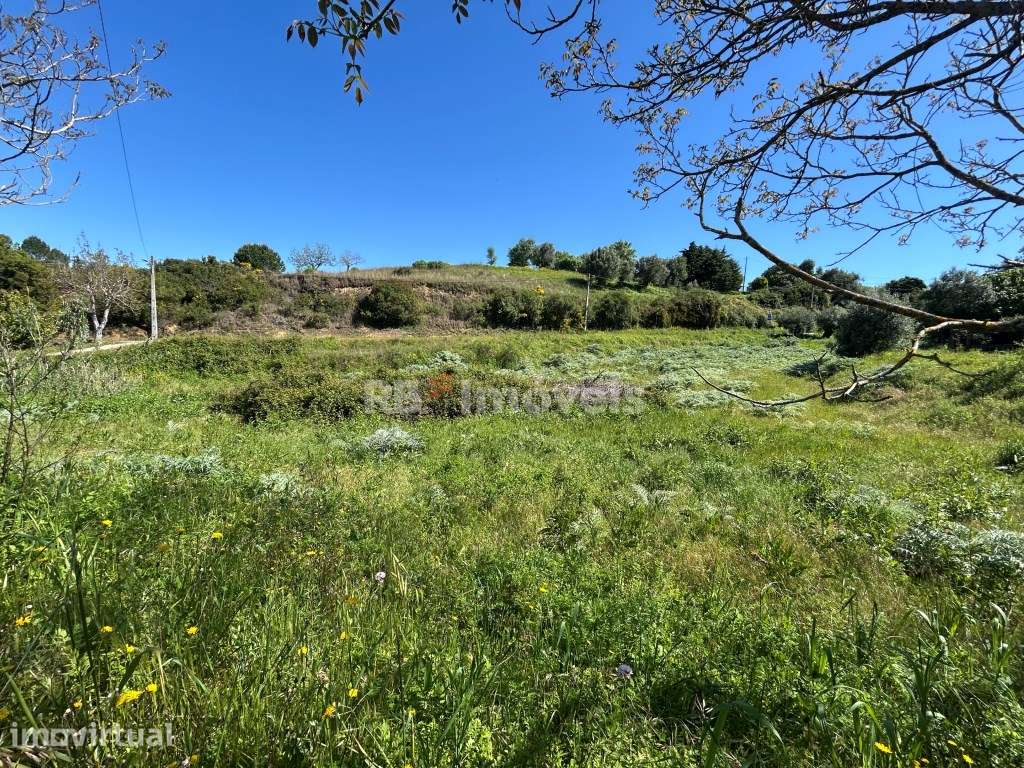 Terreno com projeto em Cem Soldos - Grande imagem: 2/23