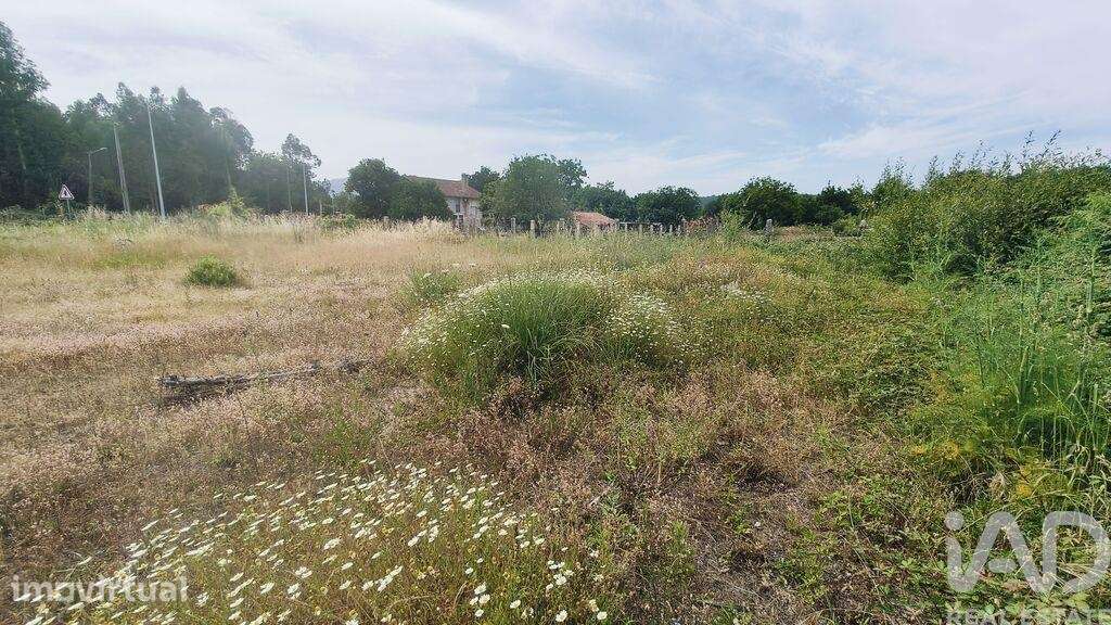 Terreno Agrícola em Verdoejo - Grande imagem: 3/13