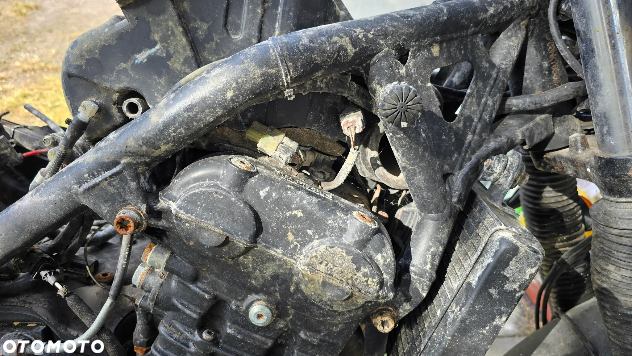 Triumph Tiger - 14