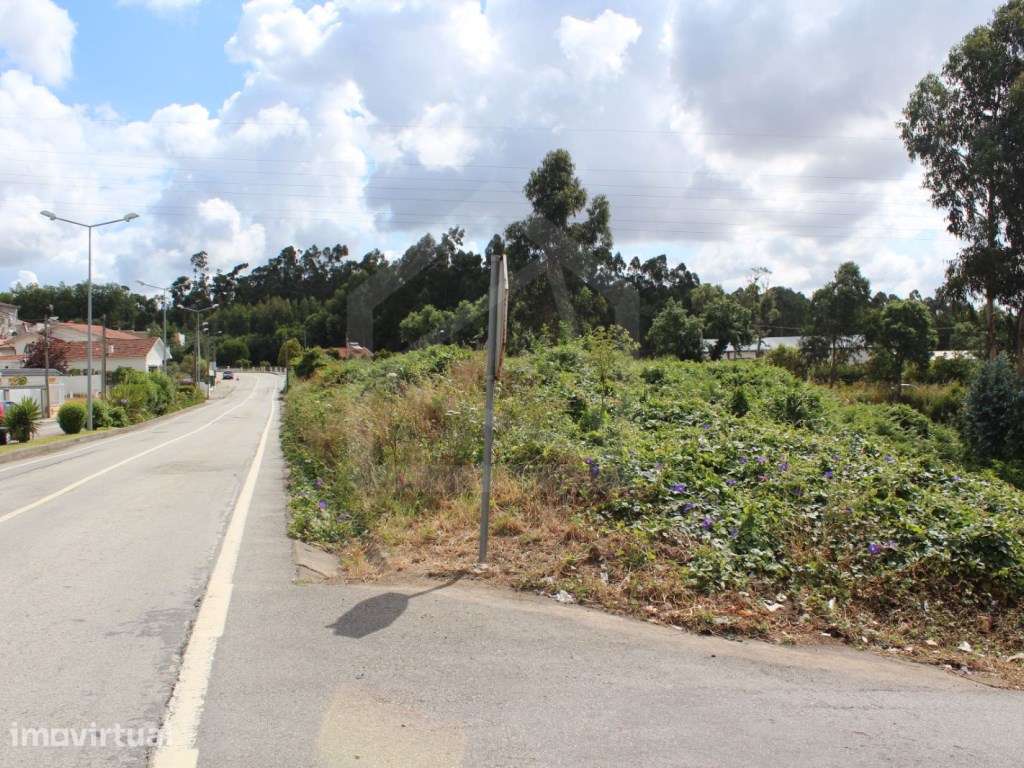 Terreno com 6.579 m2 em São Paio de Oleiros - Grande imagem: 2/10