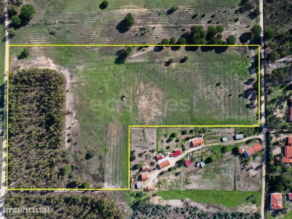Terreno para construção com 4 hectares na Branca, a pouco mais de 3...