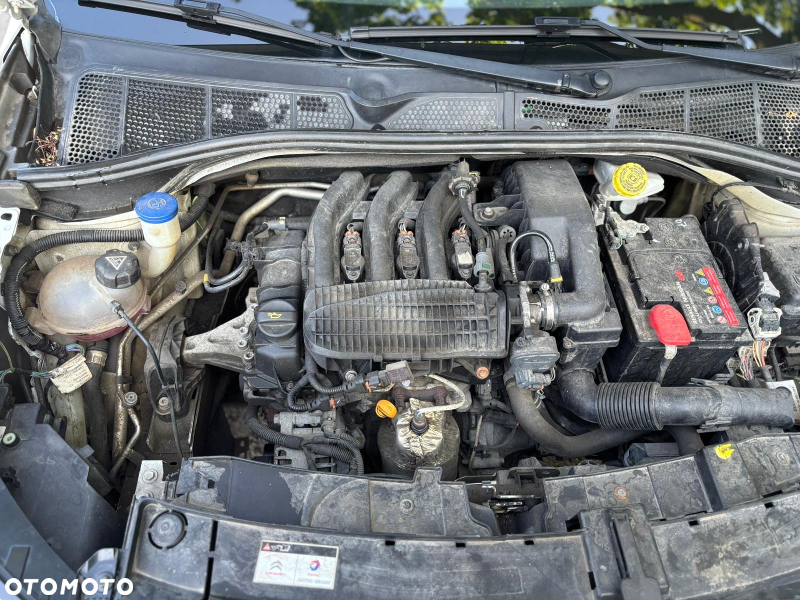 Citroën C4 Cactus 1.2 PureTech Shine - 8