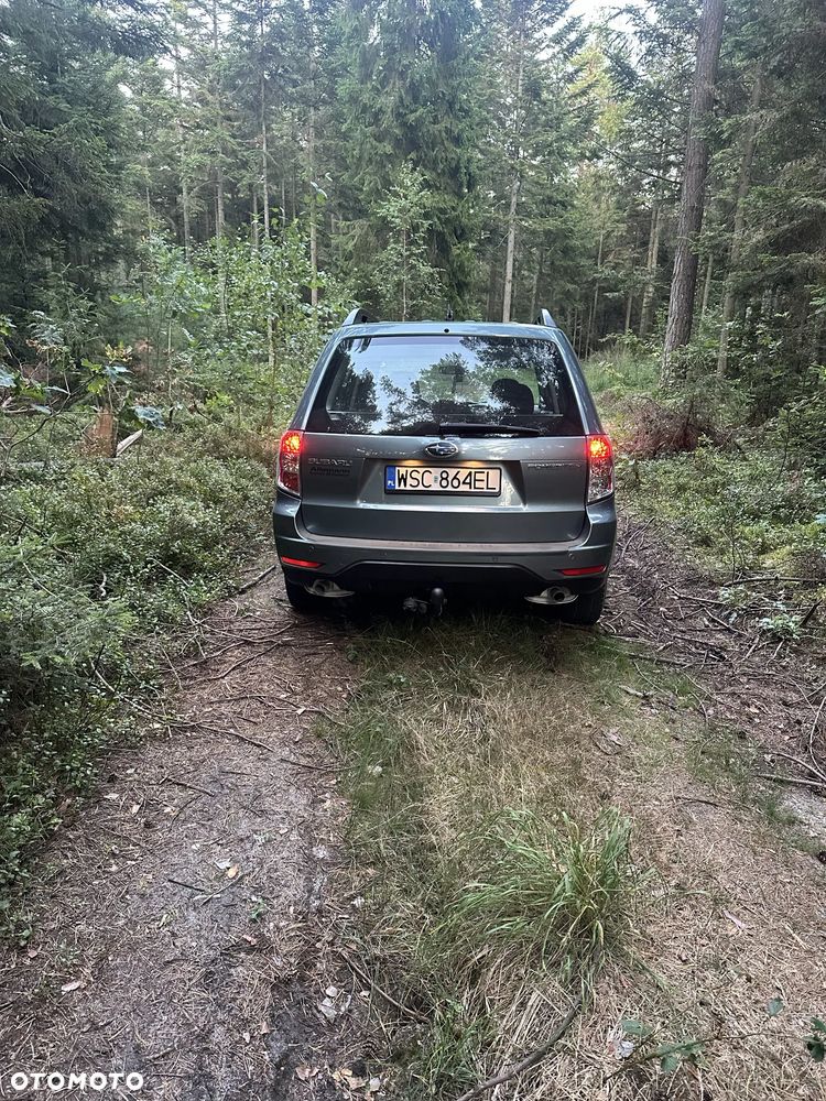 Subaru Forester - 3