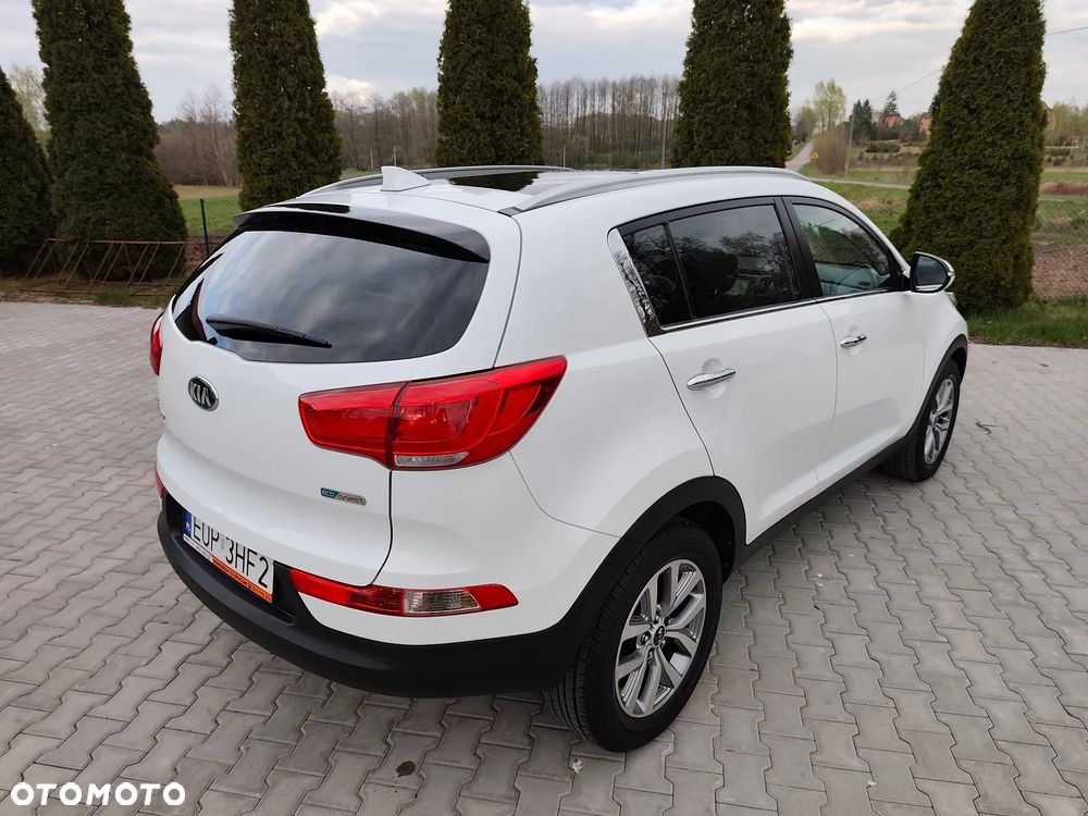 Kia Sportage 1.6 GDI Business Line L 2WD - 4