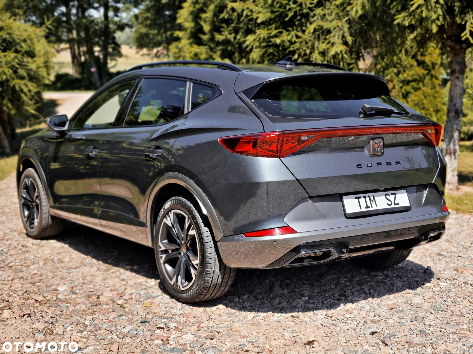 Cupra Formentor 2.0 TDI - 14