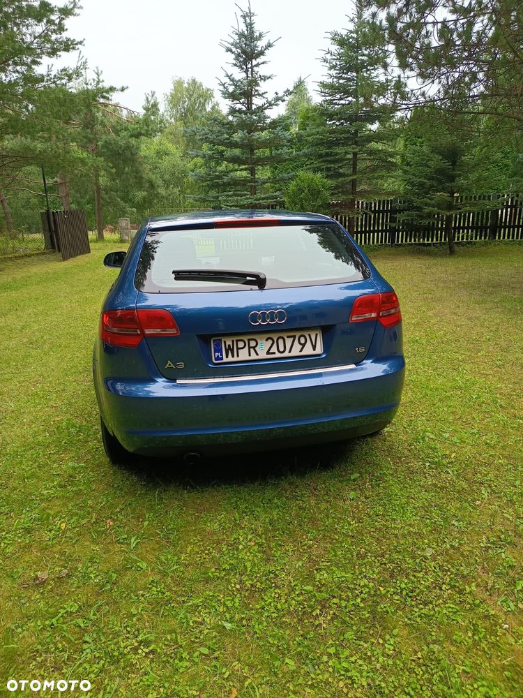 Audi A3 Sportback 1.6 Ambition - 5