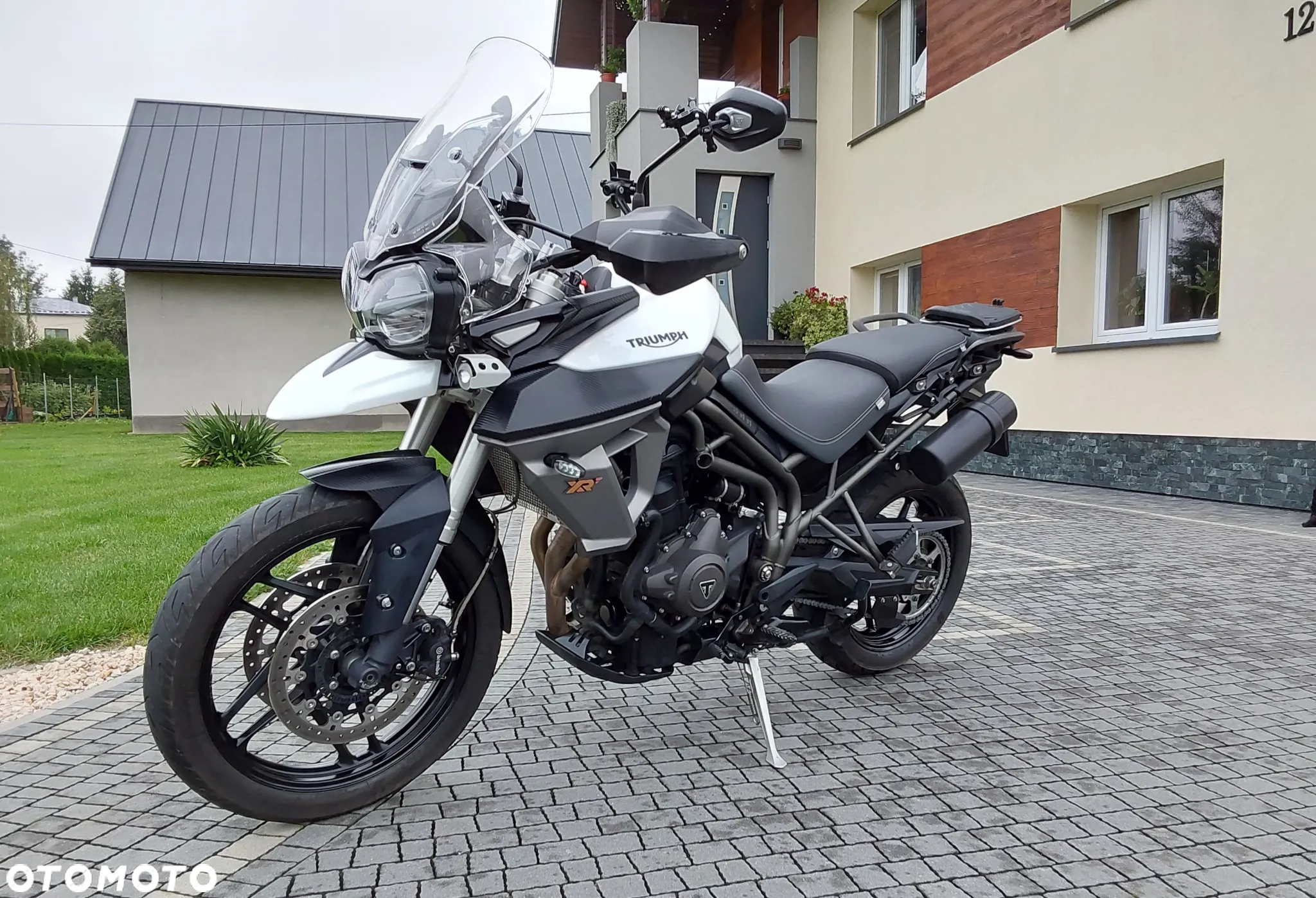Triumph Tiger - 15