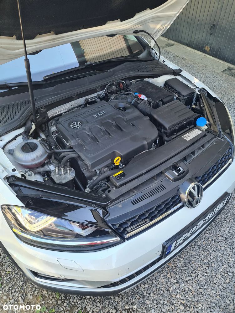 Volkswagen Golf Alltrack - 29