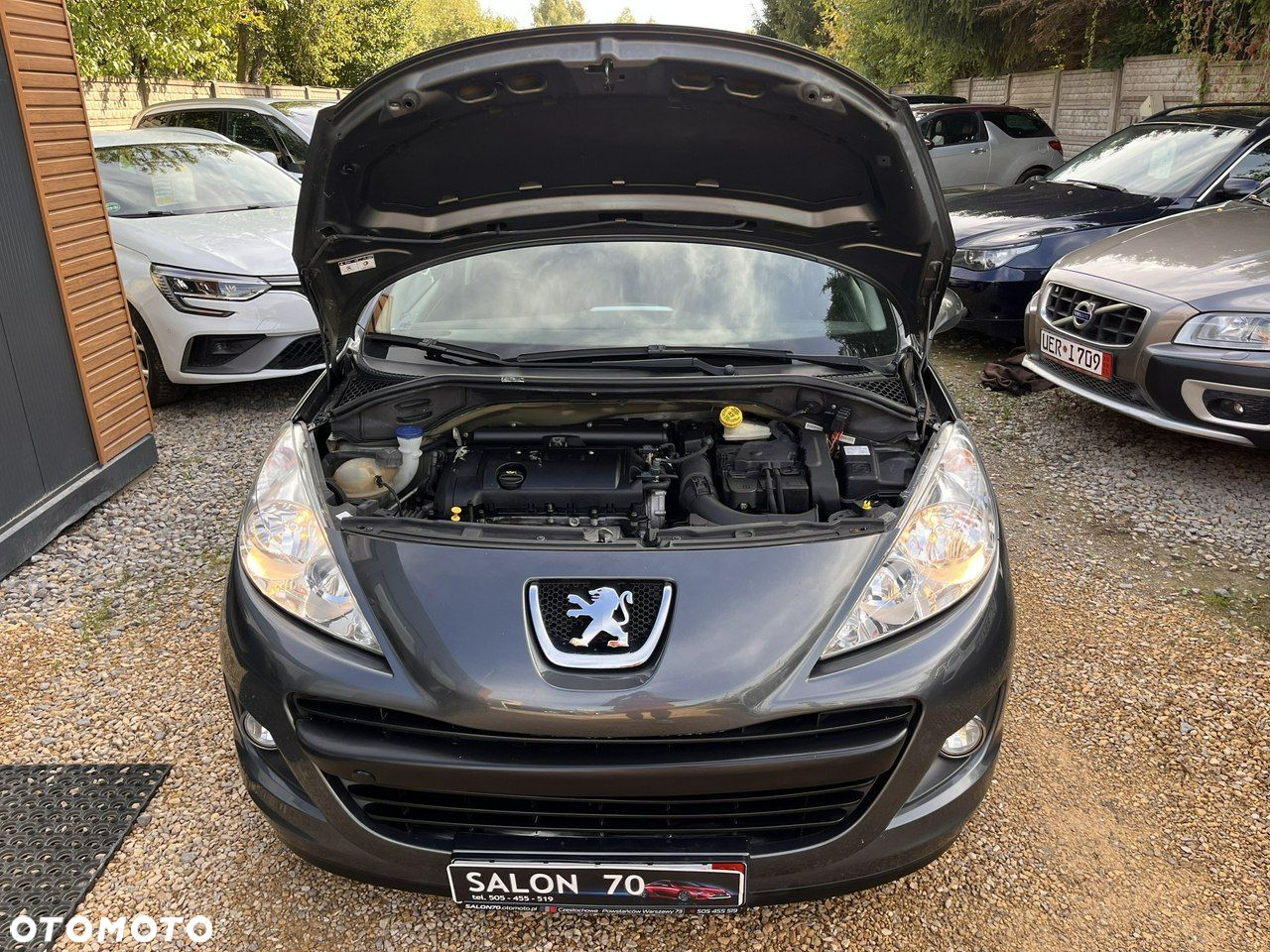 Peugeot 207 - 22