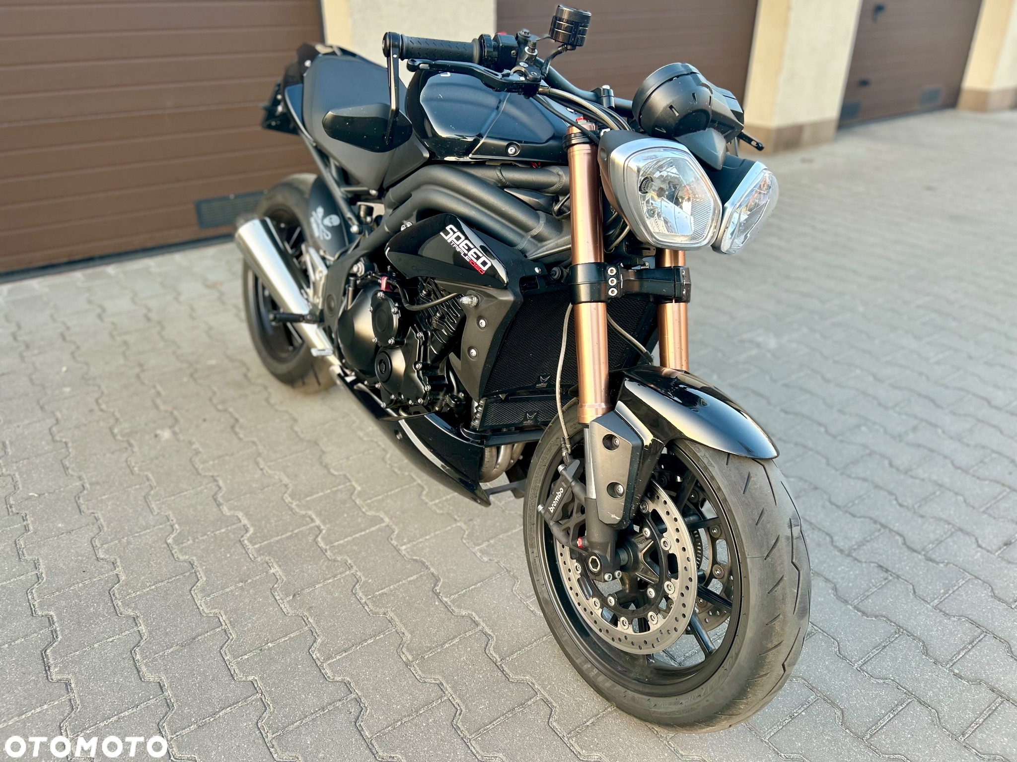 Triumph Speed Triple - 15