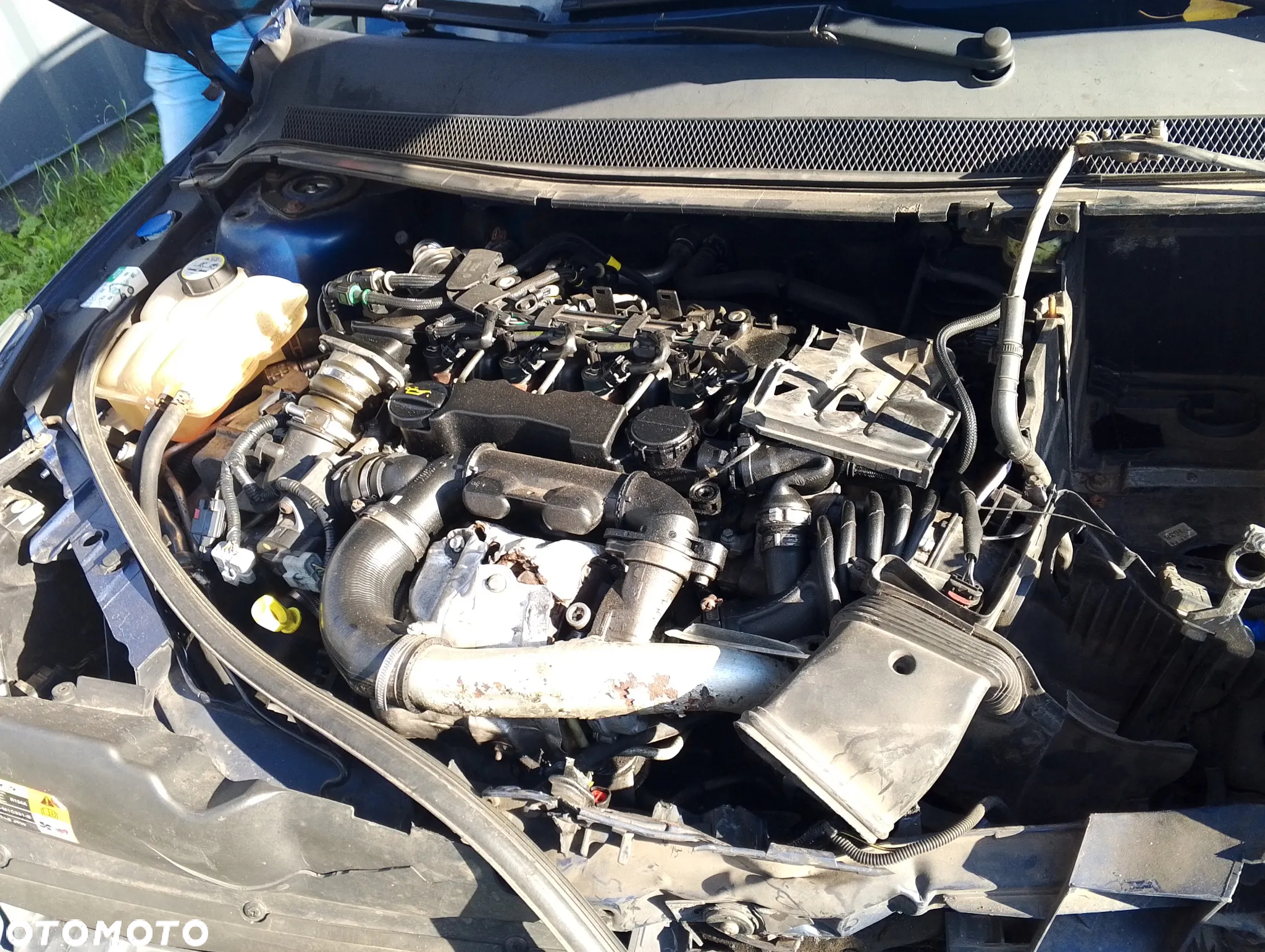 Ford Focus 1.6 TDCi Ambiente DPF - 8