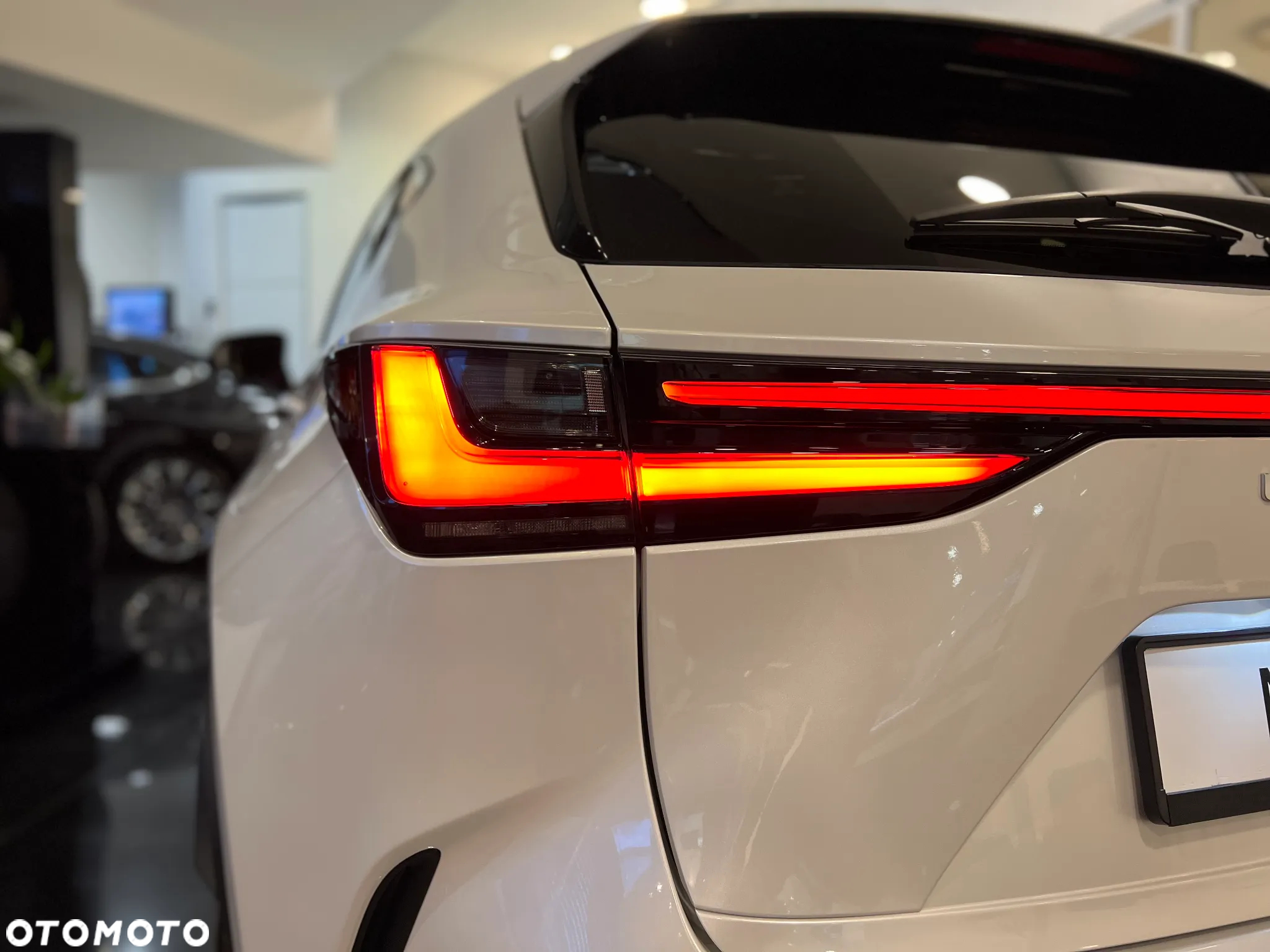 Lexus NX - 10