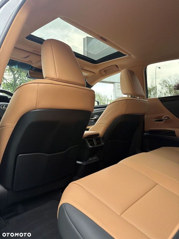 Lexus ES 300h Business Edition - 18