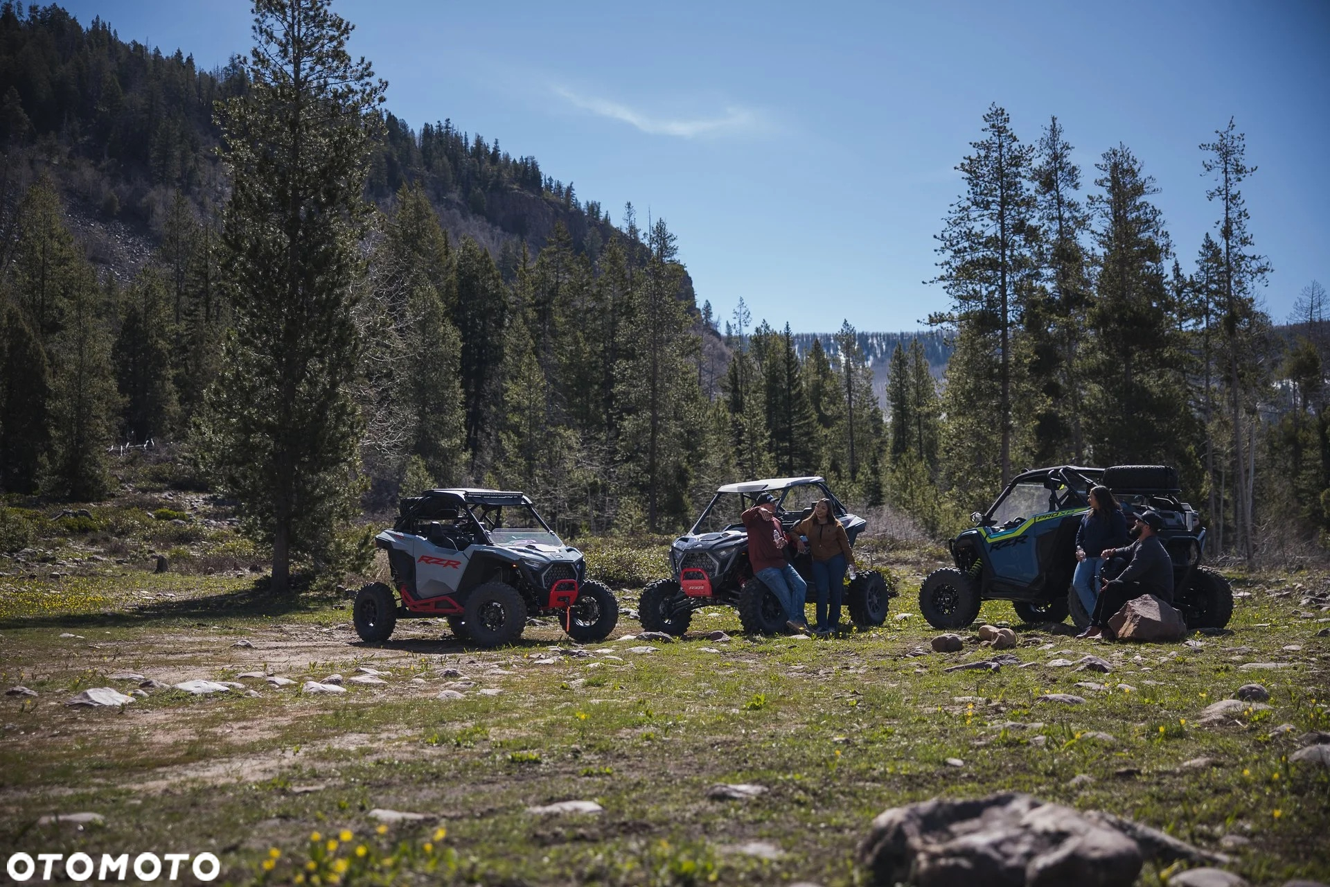 Polaris RZR - 15