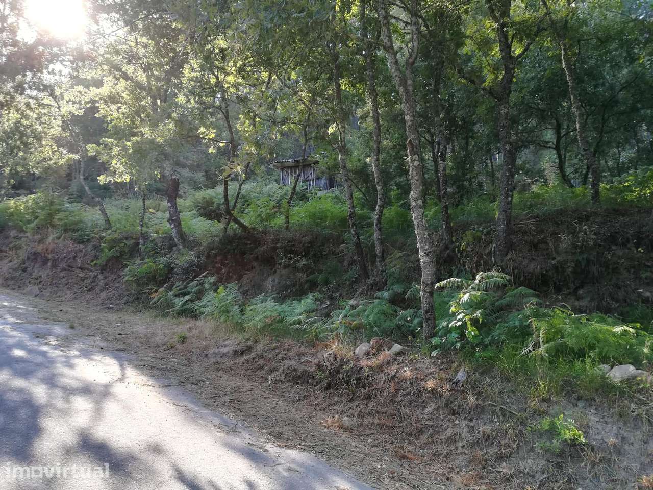 Quinta em Ribas - São Pedro do Sul - Grande imagem: 2/10