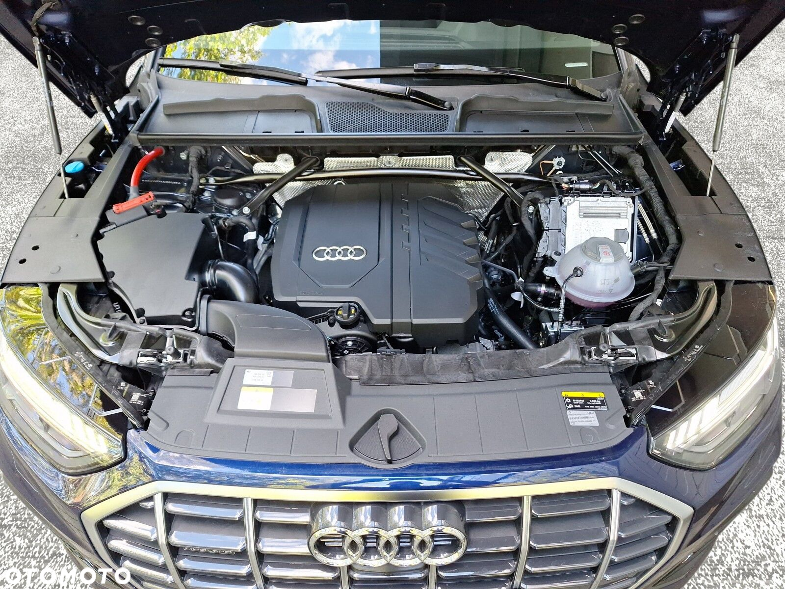 Audi Q5 Sportback - 19