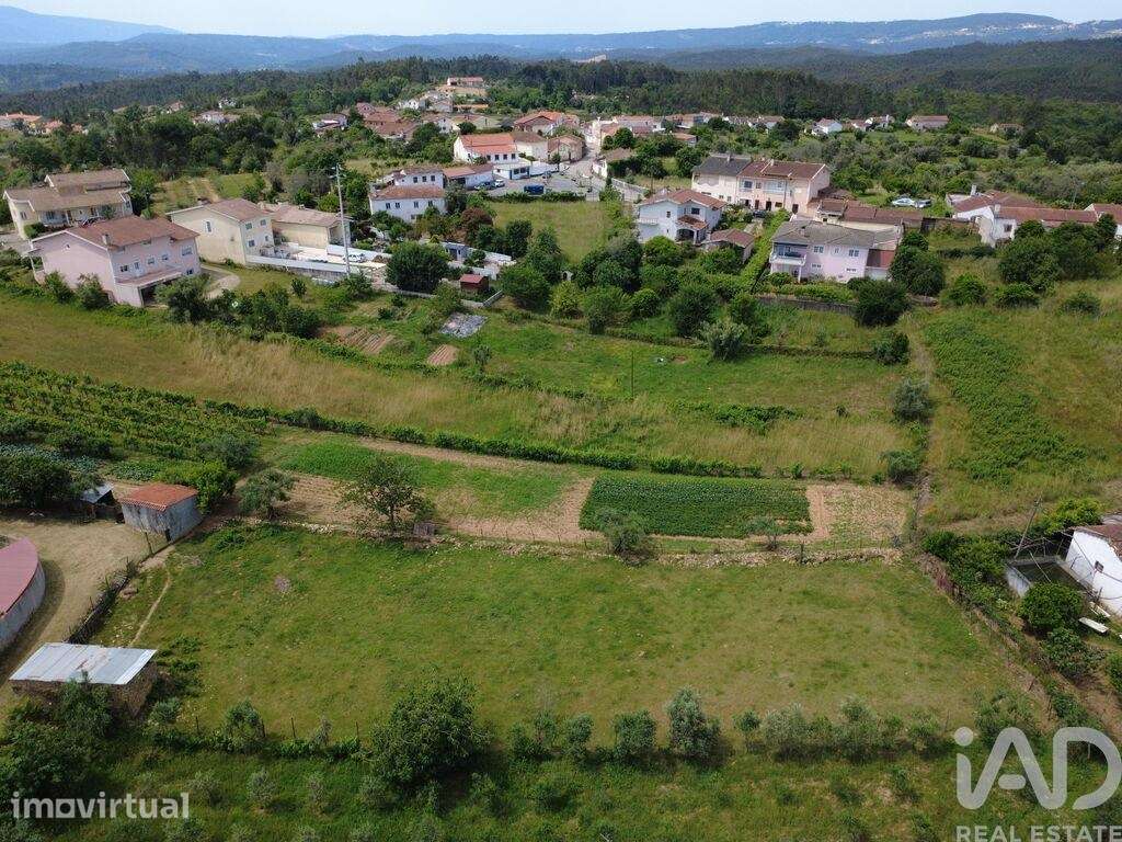 Terreno para construção em Poiares - Grande imagem: 4/39