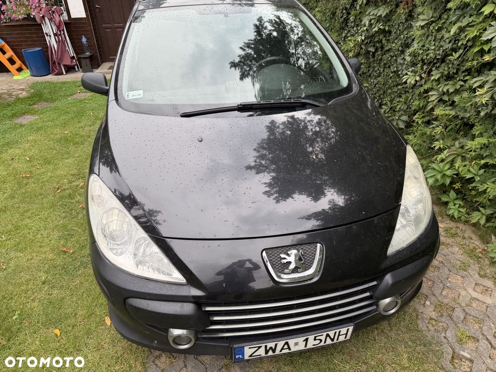 Peugeot 307 - 4