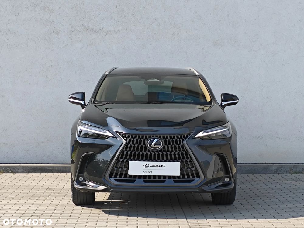 Lexus NX 350h Prestige AWD - 7