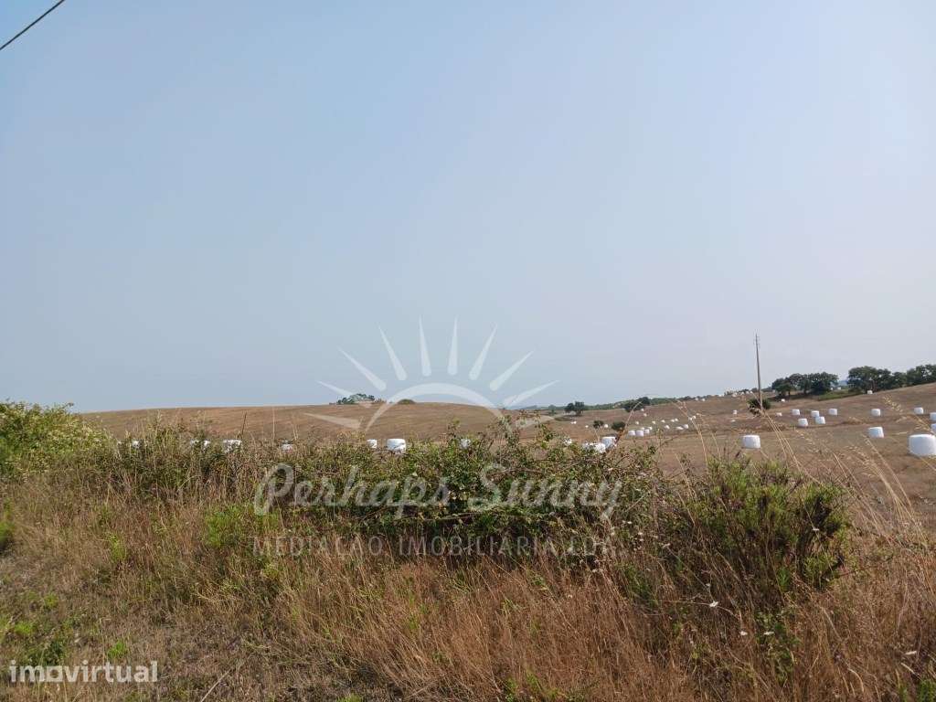 Herdade Raco de Baixo - Cercal e São Luís - Grande imagem: 2/33