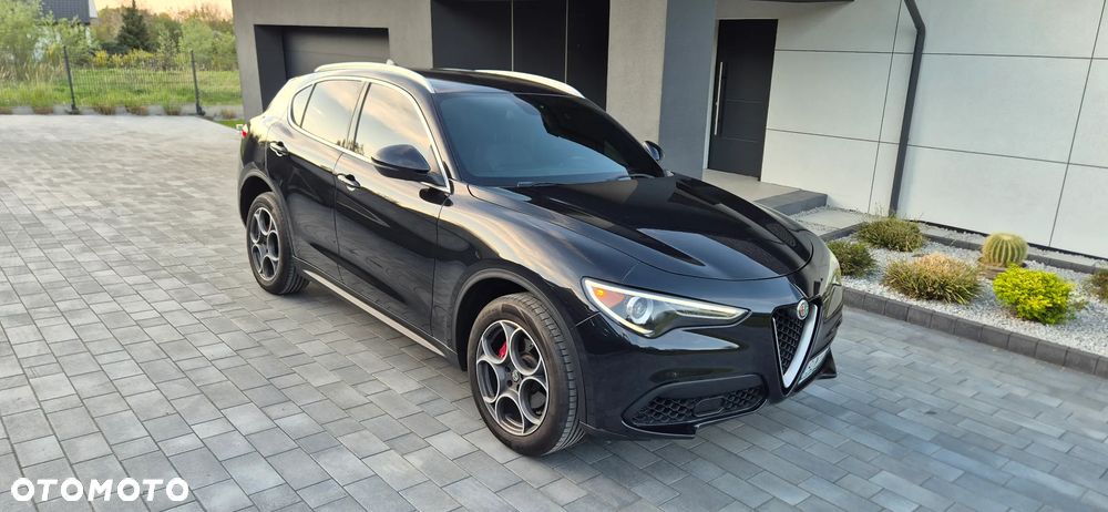 Alfa Romeo Stelvio 2.0 Turbo 16V AT8-Q4 Super - 7