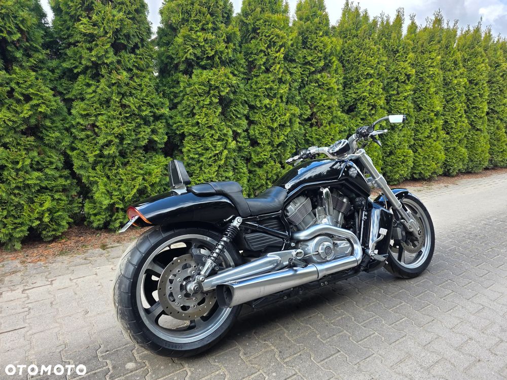 Harley-Davidson V-Rod Muscle - 5