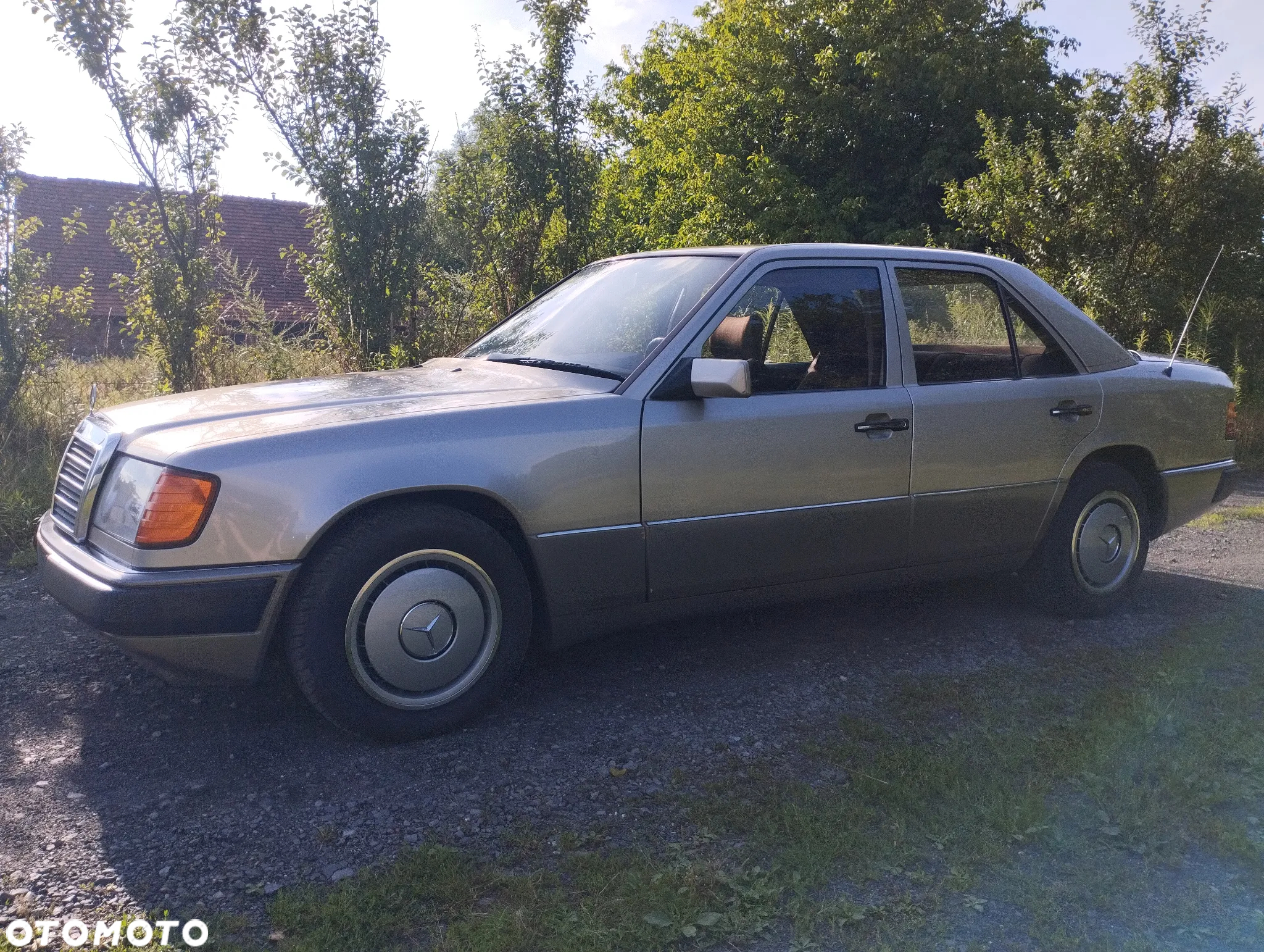 Mercedes-Benz W124 (1984-1993) - 14