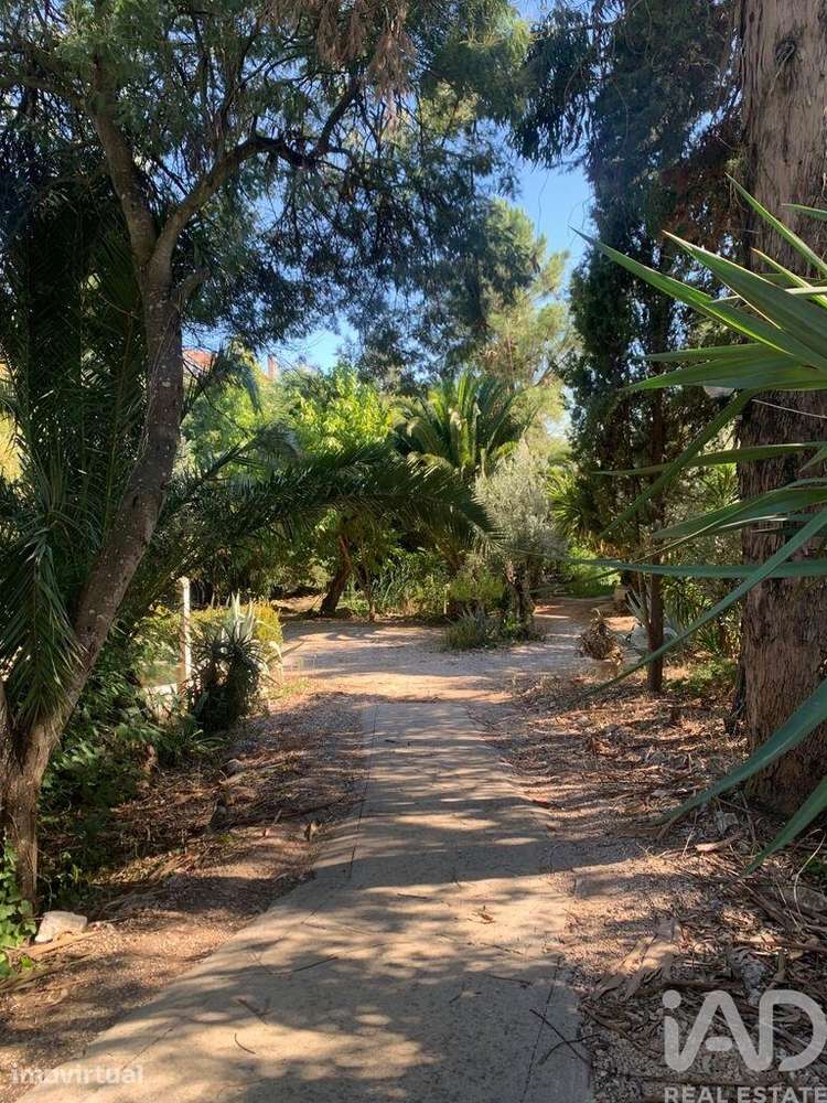 Terreno em São Pedro de Tomar - Grande imagem: 3/40