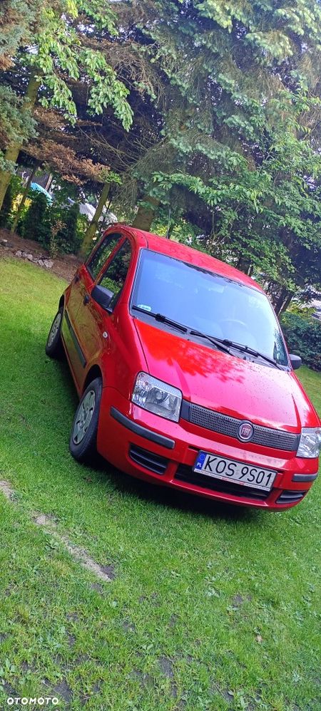 Fiat Panda - 7
