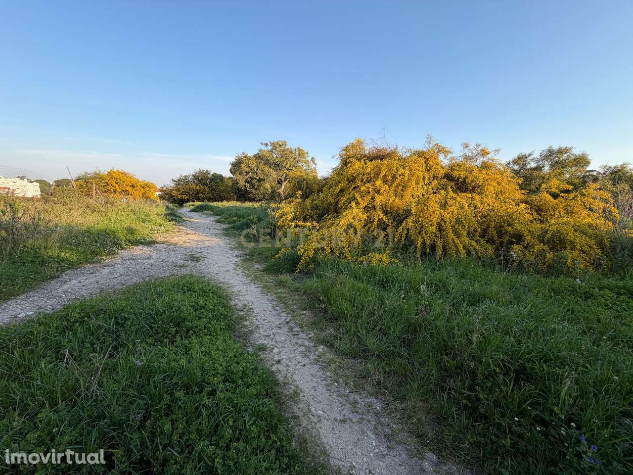 Terrenos rústicos 630 m² em Vila Nova de Caparica - Grande imagem: 4/8